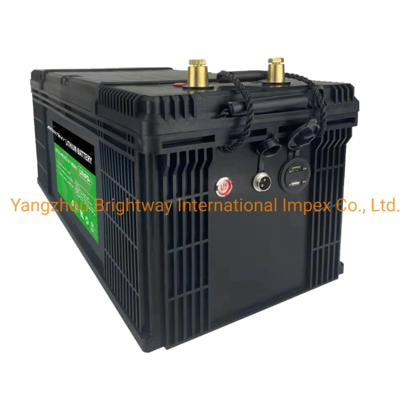 12V/24V/48V 100ah/200ah/300ah LiFePO4 Lithium Ion Battery/Battery Pack for Solar/Agv/EV Deep Cycle Rechargeable Li Ion