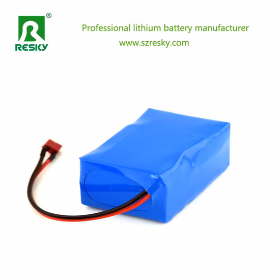 48V 13ah 14ah 16ah 17.5ah Samsung batterie pour vélo pliant chambre à air Lithium Ion Mate batterie pour vélo de ville pliable Ebike
