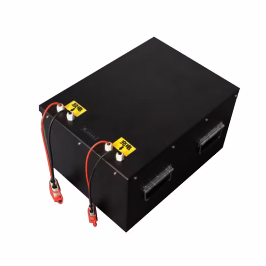 Moto/Scooter Citycoco Vélo électrique E-Bike 48V/60V/72V/96V 10ah 12ah 20ah 40ah 50ah 60ah 70ah 80ah 100ah LiFePO4 Lithium Ion Lipo Li Ion Battery
